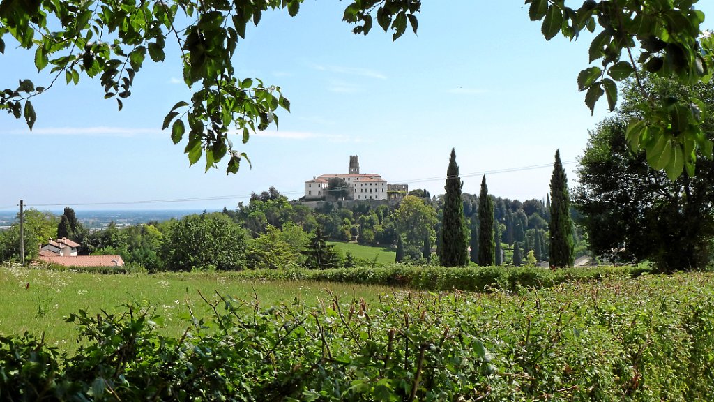 2011-08-05 11.55.26.jpg